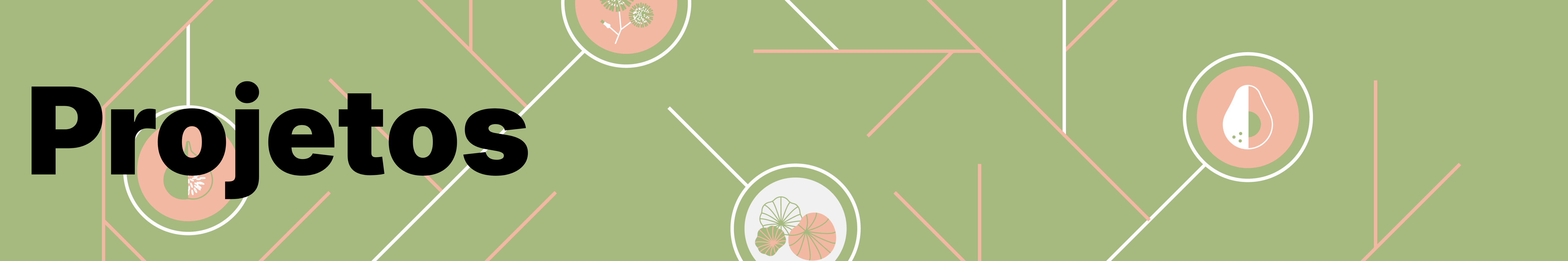 Banner do tttulo da seção Projetos